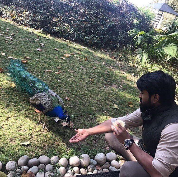Actor Ram Charan 2017 Latest Stills