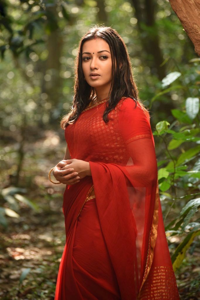 Catherine Tresa Hot in Saree Photos