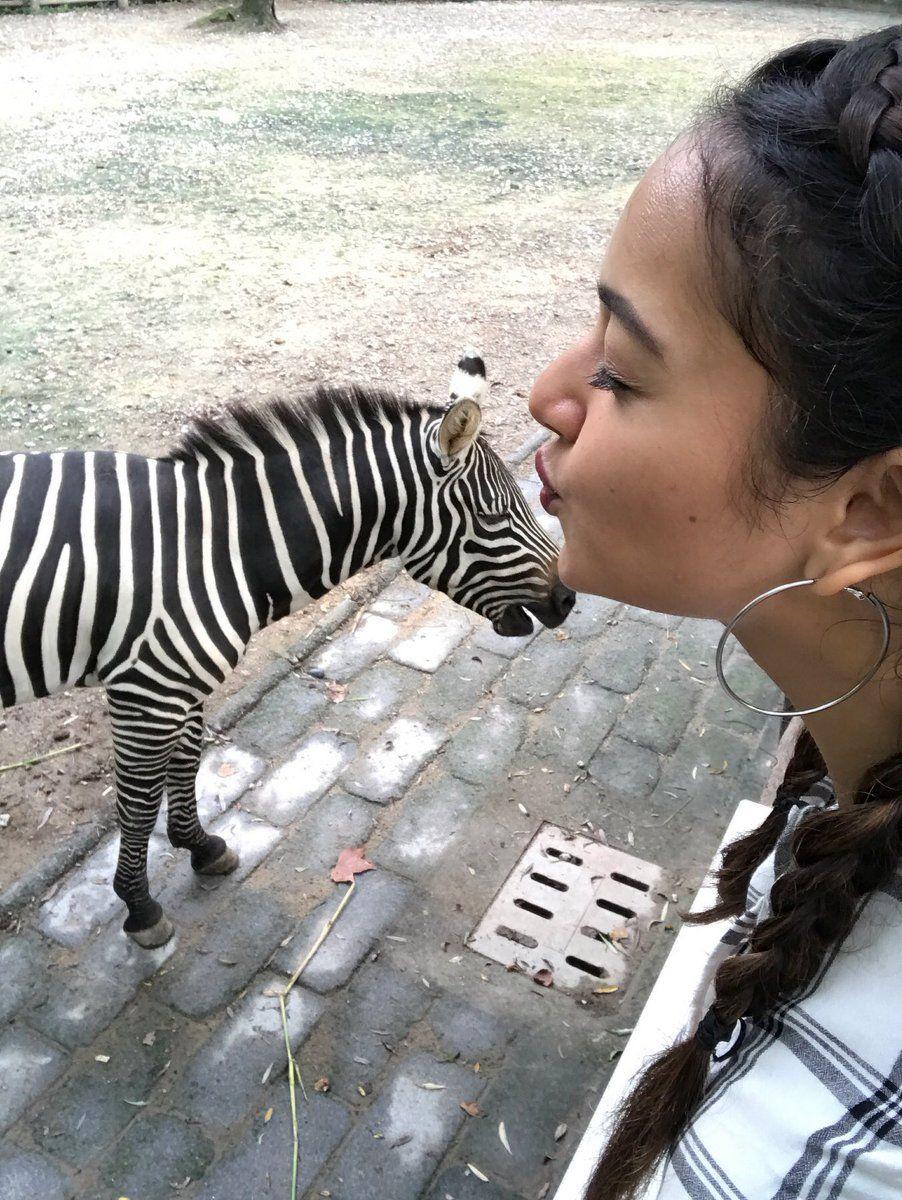 30 Best Shanvi Srivastava Latest Hot Unseen Photoshoot Stills