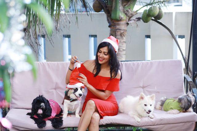 Actress Amala Paul Christmas Celebrations Photos