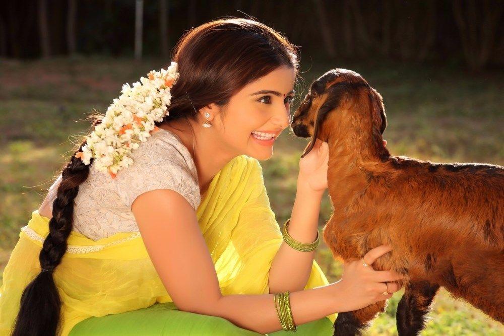 Actress Aqsa Bhatt Latest Photoshoot Gallery
