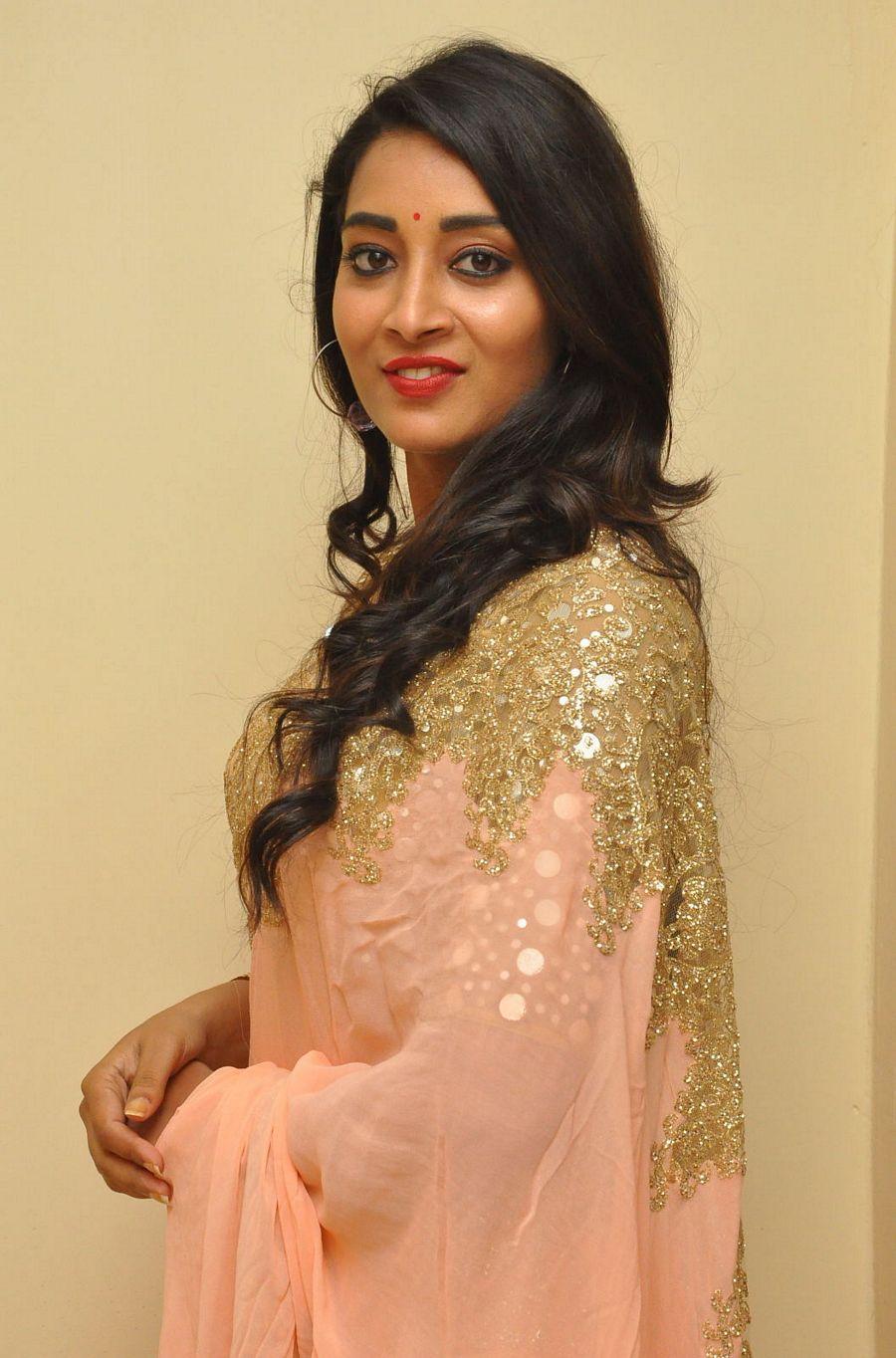 Actress Bhanu Sri Latest Photo Stills