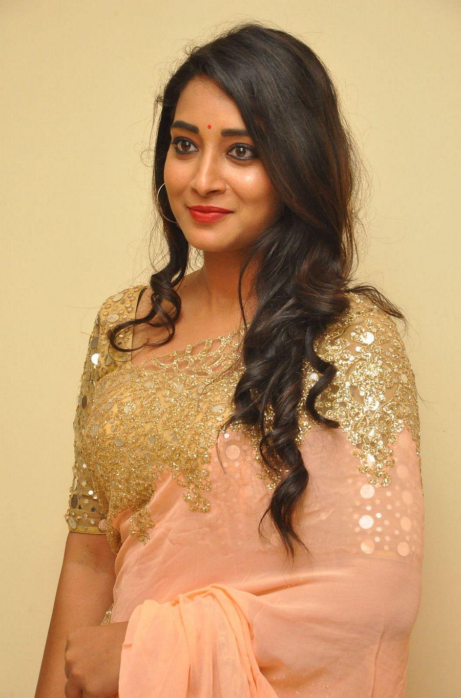 Actress Bhanu Sri Latest Photo Stills