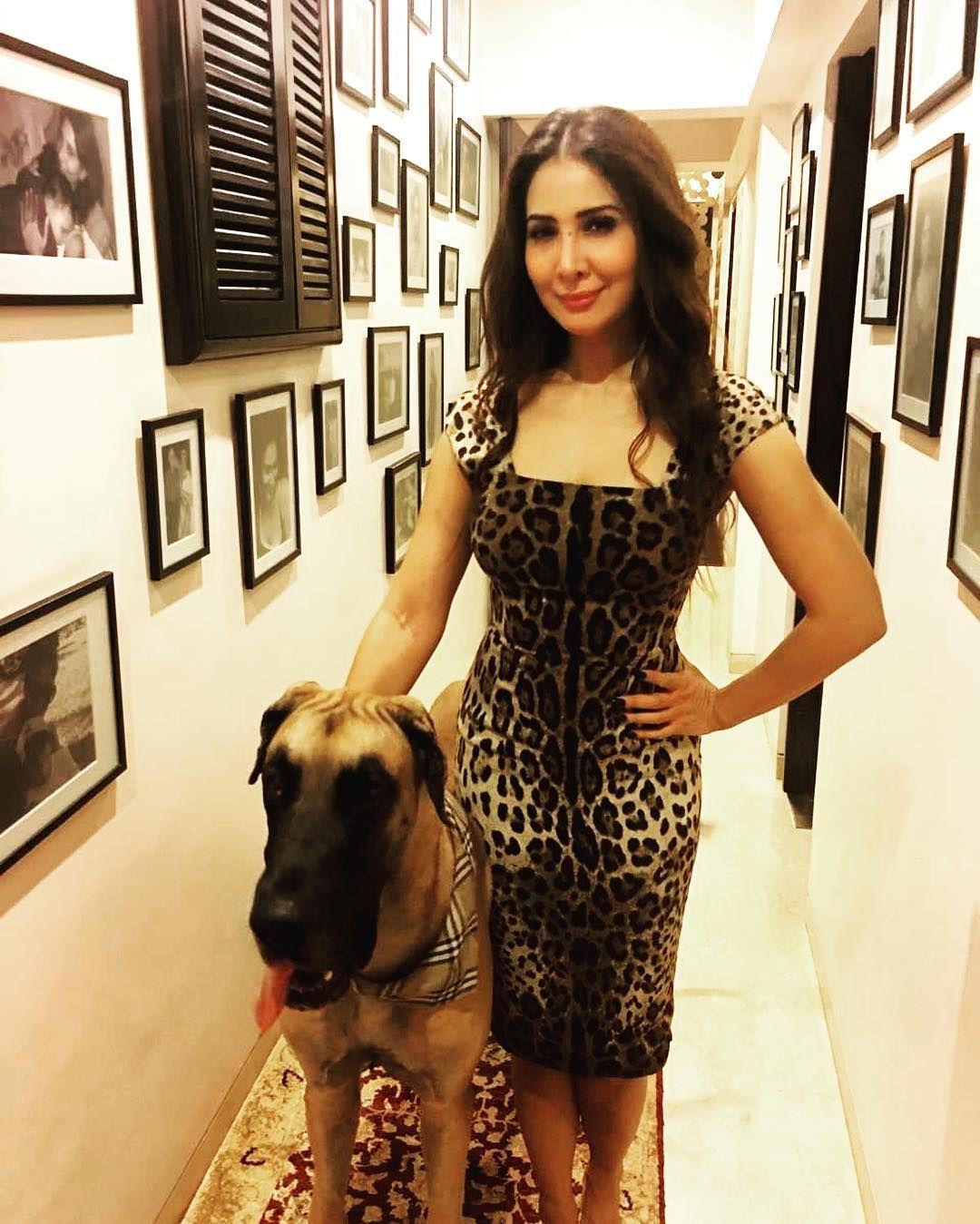 Actress Kim Sharma Latest Stills