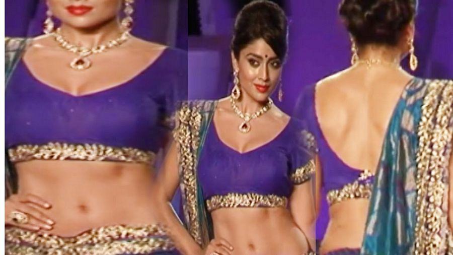 Actress Shriya Saran Latest Photos in Different Saree's