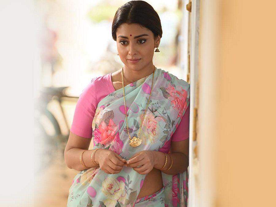 Actress Shriya Saran Latest Photos in Different Saree's