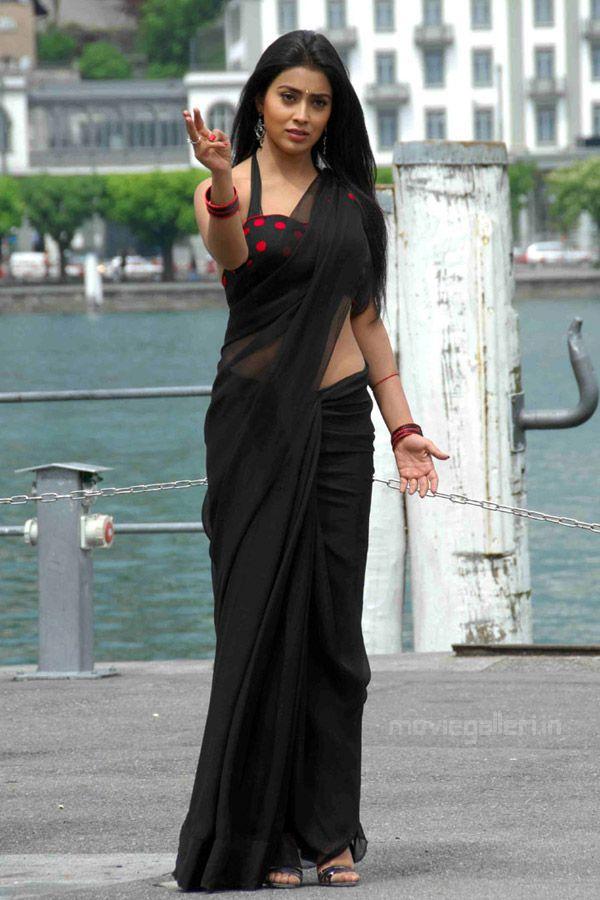 Actress Shriya Saran Latest Photos in Different Saree's