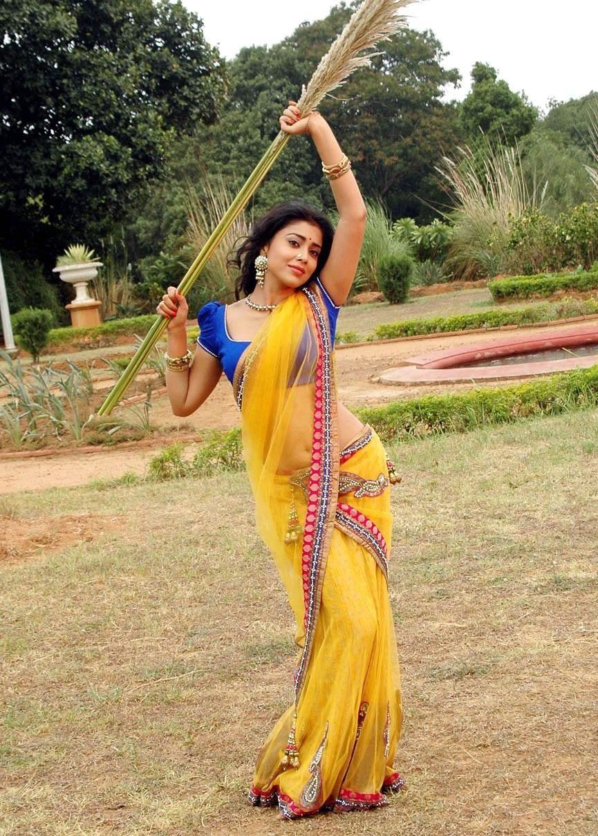 Actress Shriya Saran Latest Photos in Different Saree's