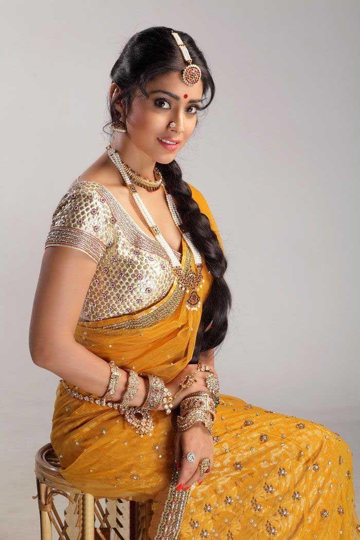 Actress Shriya Saran Latest Photos in Different Saree's