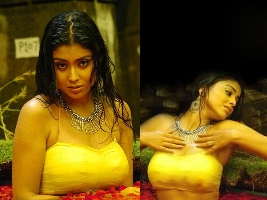 Actress Shriya Saran Photos