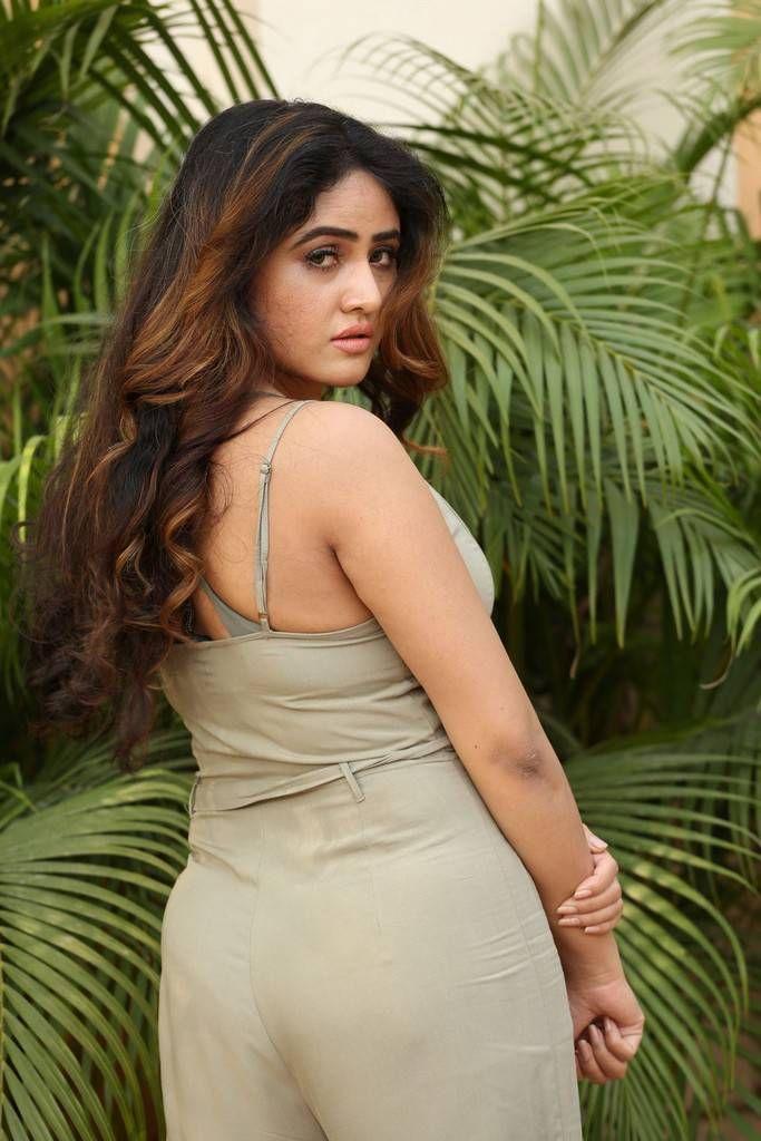 Actress Sony Charishta Latest Hot Photo Stills