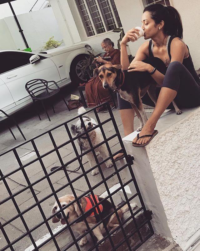 Actress Trisha recent cute clicks!