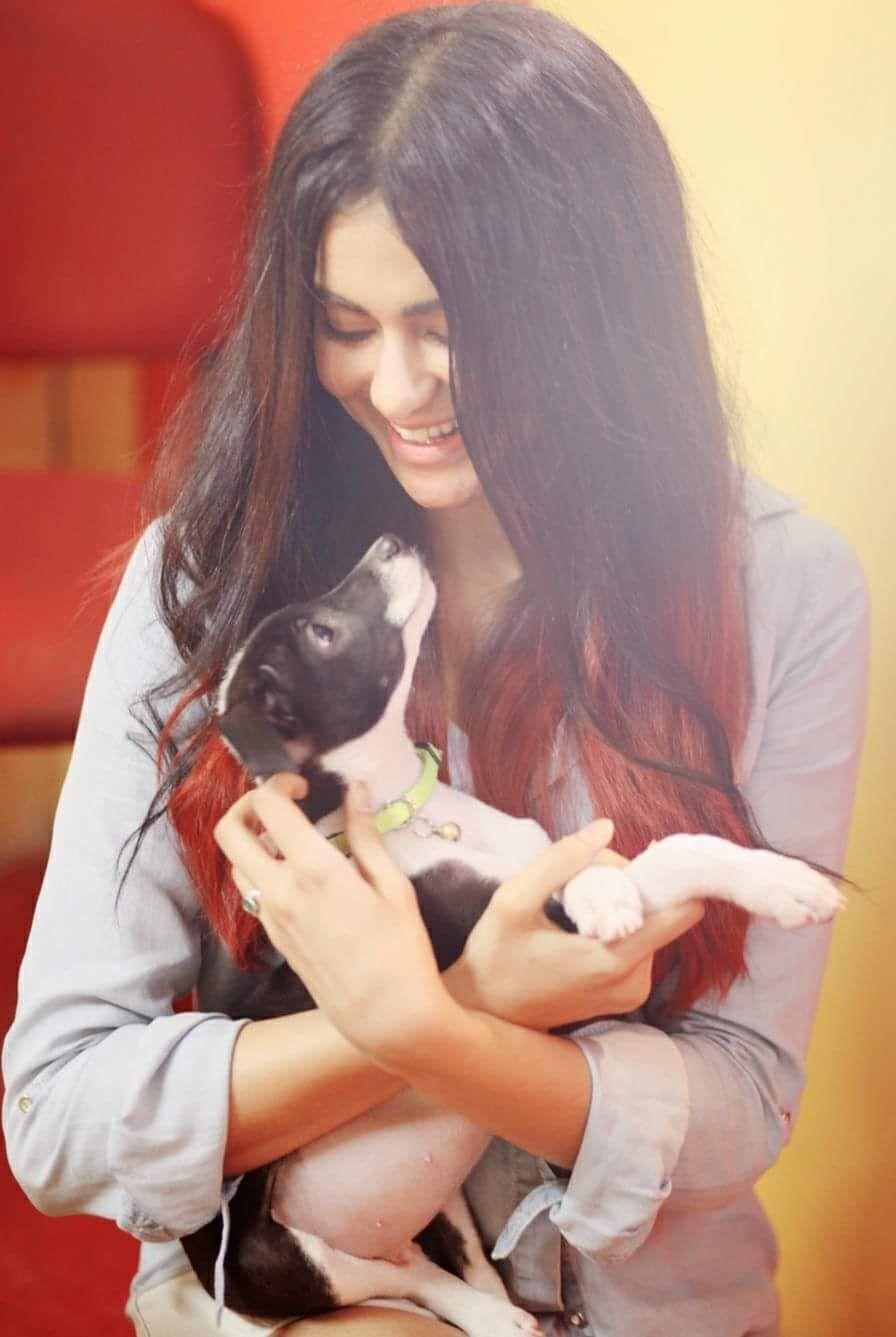 Adah Sharma Latest Cute Clicks