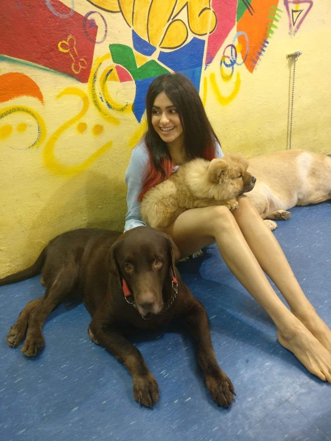 Adah Sharma Latest Cute Clicks