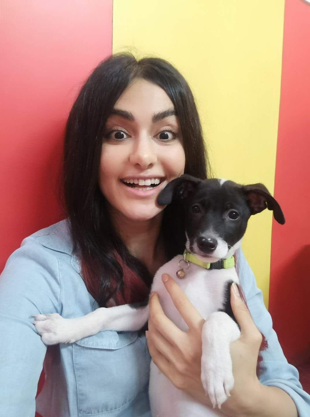 Adah Sharma Latest Cute Clicks