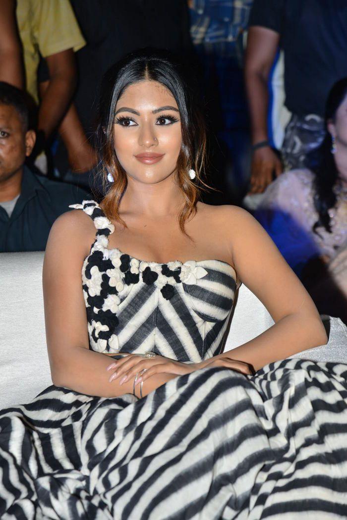 Anu Emmanuel Stills at Naa Peru Surya Pre Release Event