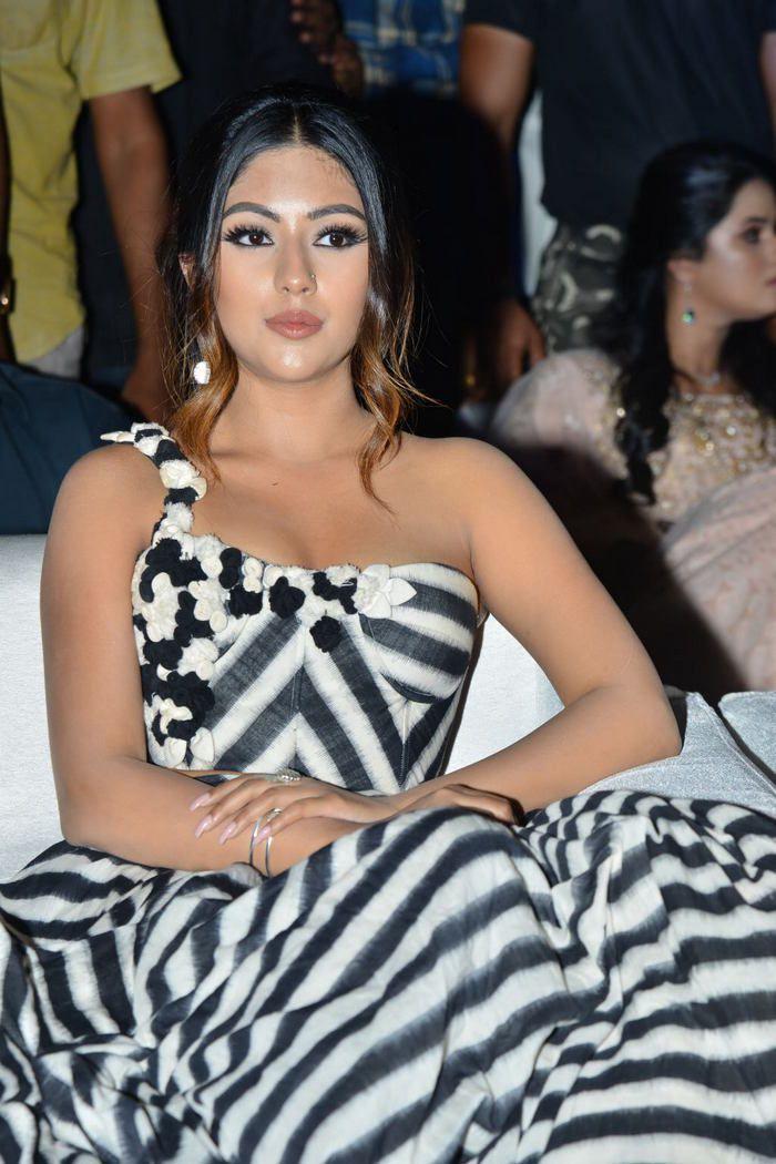 Anu Emmanuel Stills at Naa Peru Surya Pre Release Event