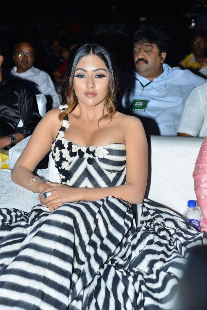 Anu Emmanuel Stills at Naa Peru Surya Pre Release Event