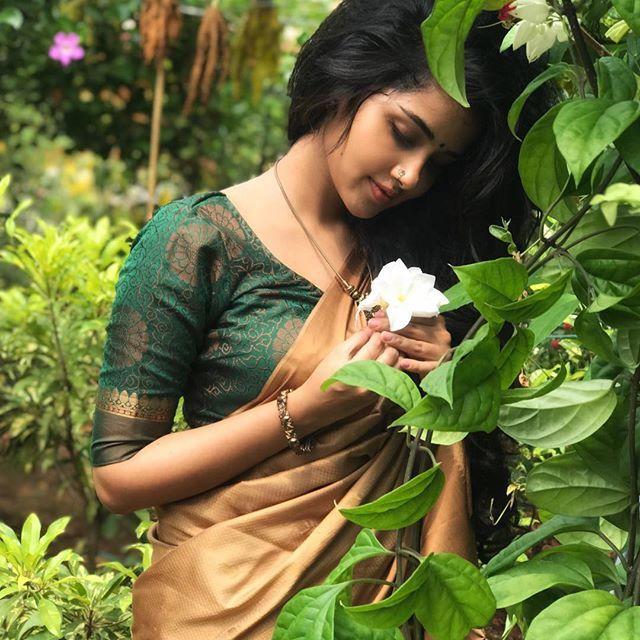 Anupama Parameshwaran Sari Images