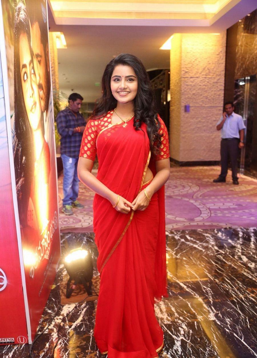 Anupama Parameswaran Stills at Shatamana Bhavathi Success Meet