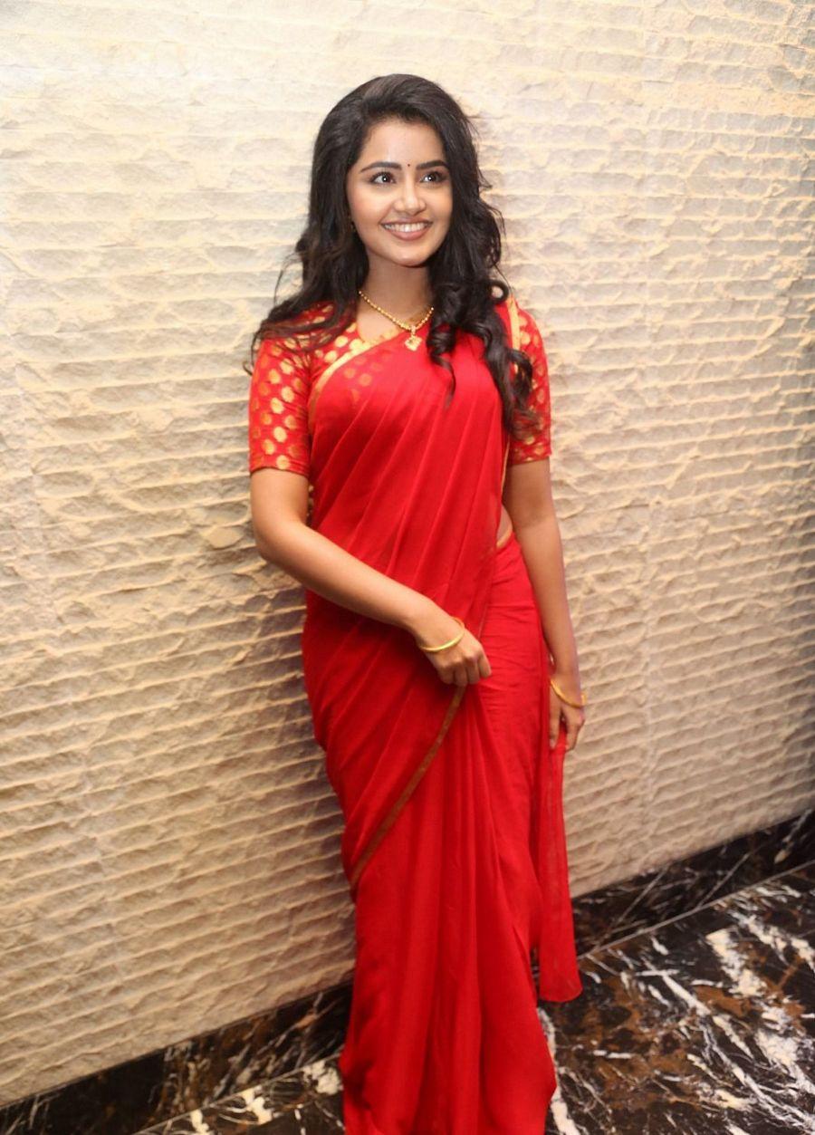 Anupama Parameswaran Stills at Shatamana Bhavathi Success Meet