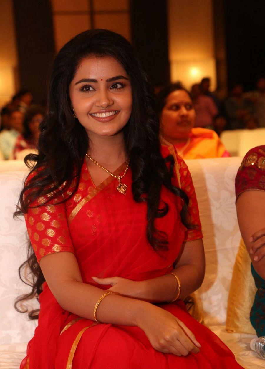 Anupama Parameswaran Stills at Shatamana Bhavathi Success Meet