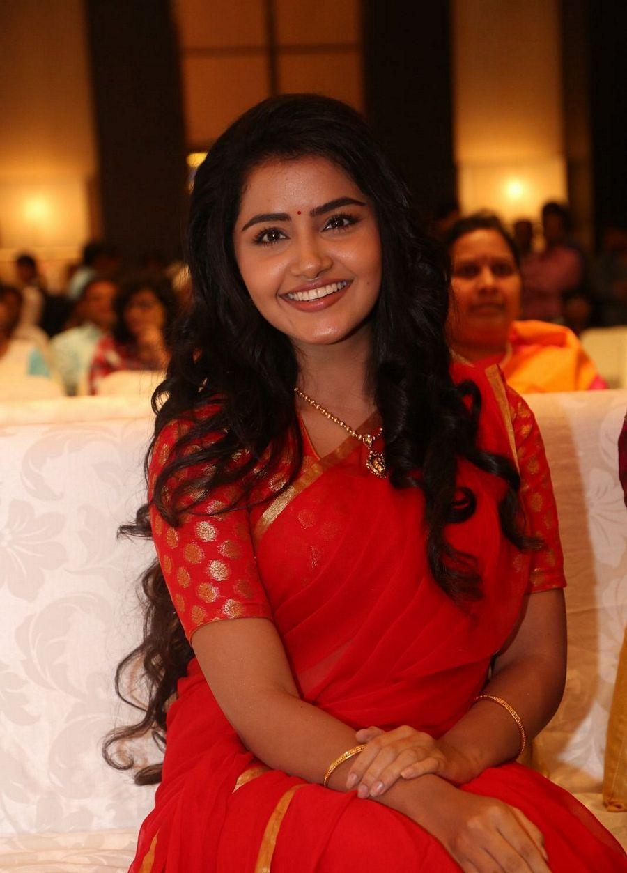 Anupama Parameswaran Stills at Shatamana Bhavathi Success Meet
