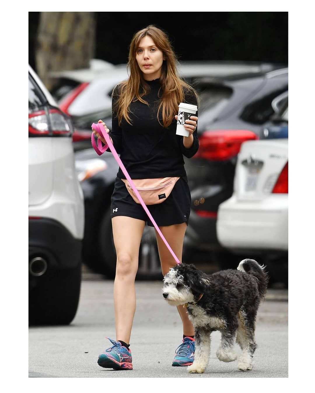 Avengers fame Elizabeth Olsen takes her dog for a walk at Encino