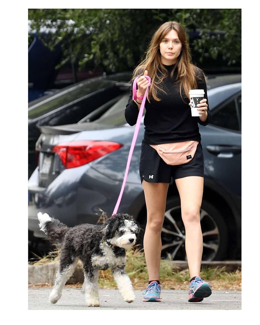 Avengers fame Elizabeth Olsen takes her dog for a walk at Encino