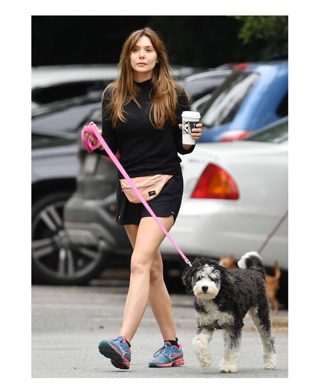 Avengers fame Elizabeth Olsen takes her dog for a walk at Encino