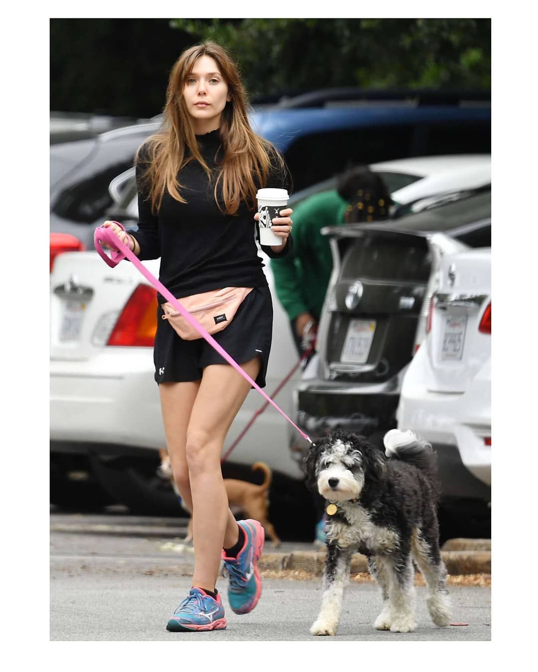 Avengers fame Elizabeth Olsen takes her dog for a walk at Encino