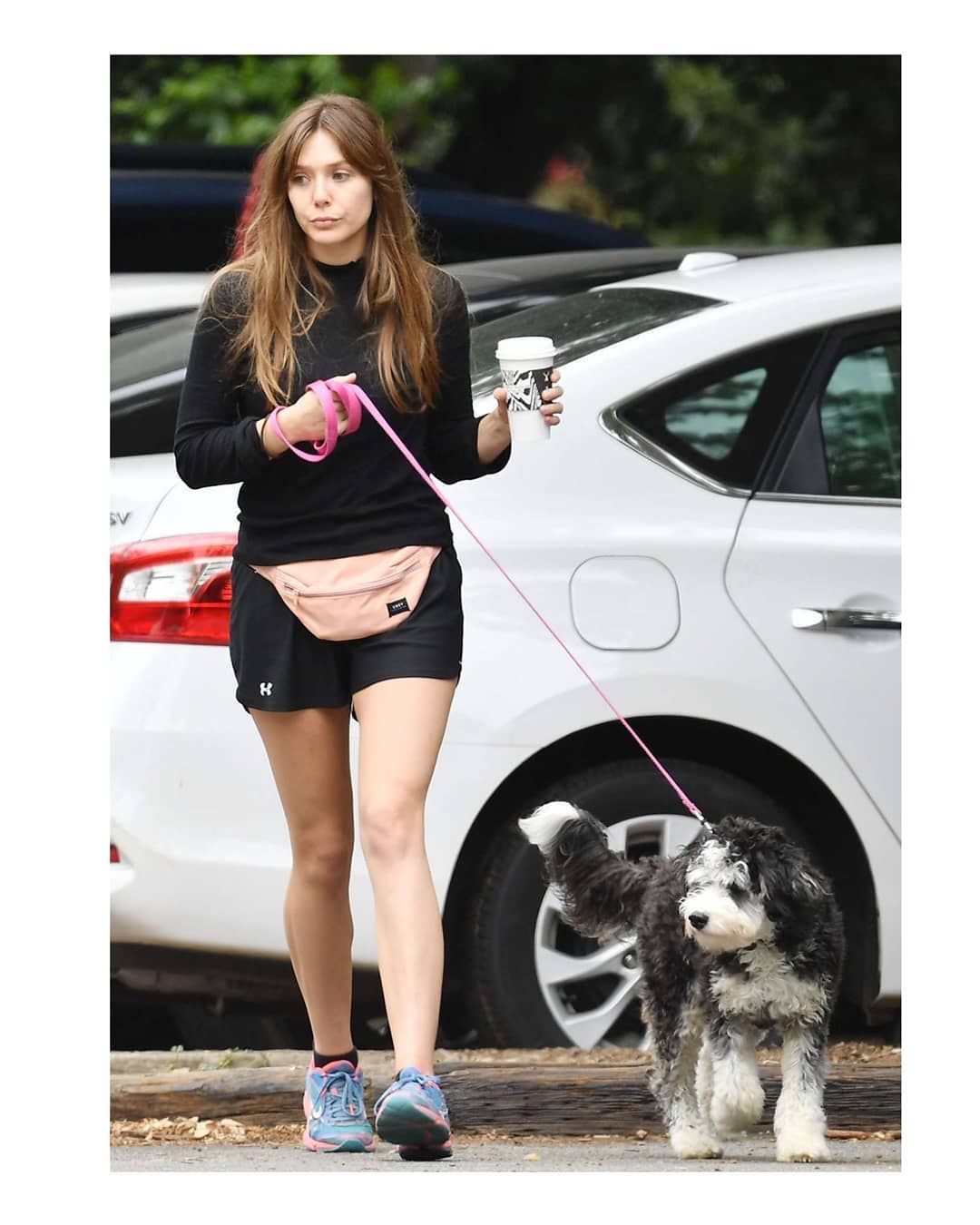 Avengers fame Elizabeth Olsen takes her dog for a walk at Encino