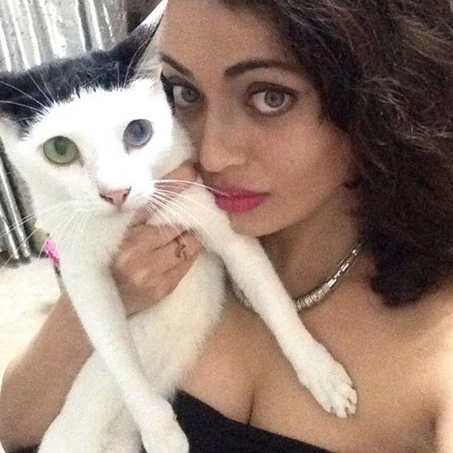Birthday Special: Actress Sneha Ullal Rare & Unseen Photos Collections