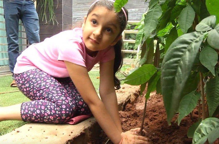 Cutie pie Sitara accepts her dad Mahesh's Haritha Haram Challenge Photos