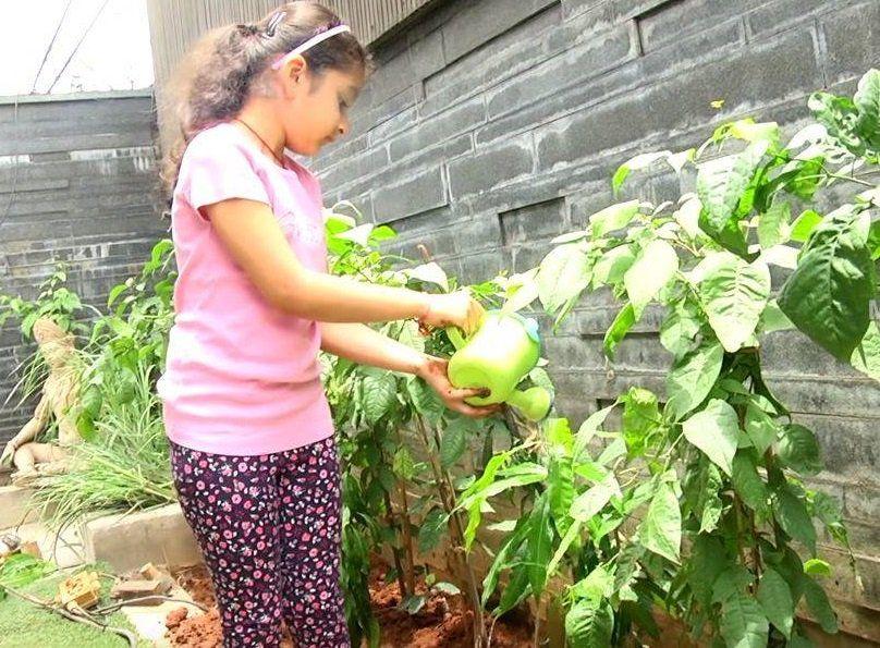 Cutie pie Sitara accepts her dad Mahesh's Haritha Haram Challenge Photos