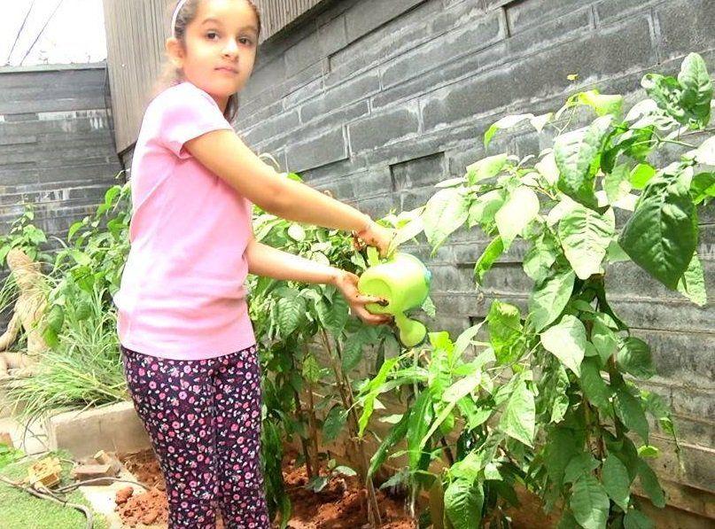 Cutie pie Sitara accepts her dad Mahesh's Haritha Haram Challenge Photos