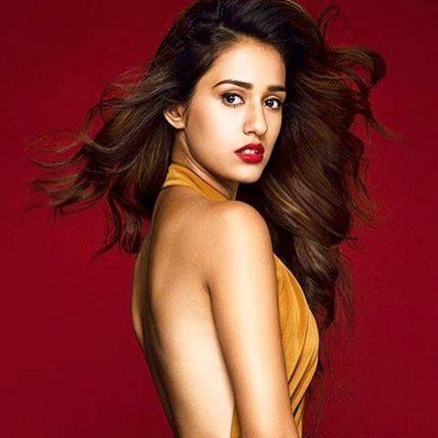 Disha Patani Sexy Photos