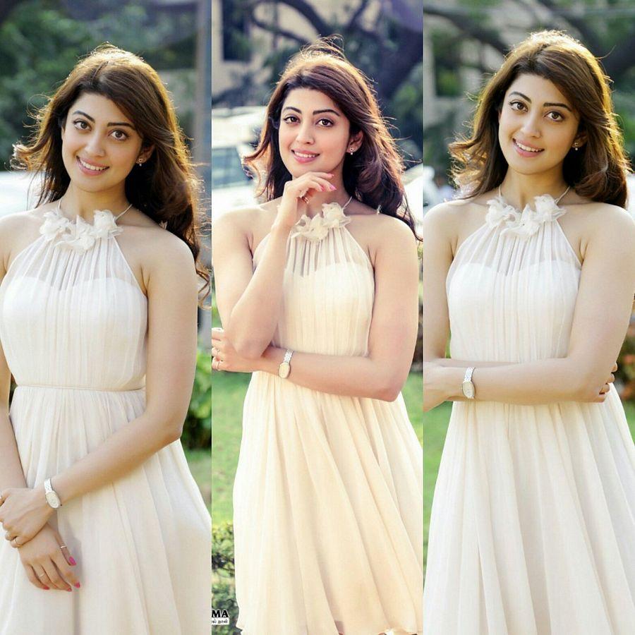 Gorgeous Beauty Pranitha Subhash Looks So Pretty Photos