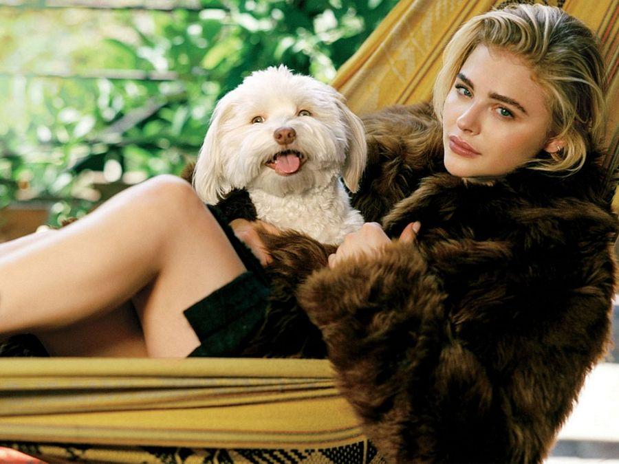 Hollywood Actress Chloe Moretz Latest HD Photoshoot Stills