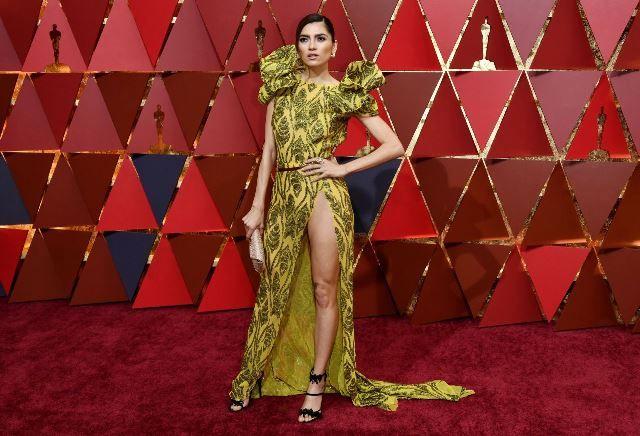 Hollywood Actress at Oscars 2017 Red Carpet Photos
