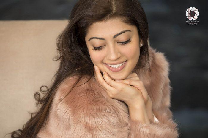 Hot N Spicy Pranitha Latest Photoshoot Gallery