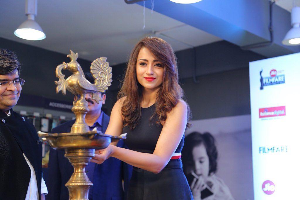 Lovely Trisha at the 65th Jio Film Fare Awards Photos