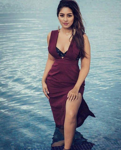 Majnu Actress Anu Emmanuel Latest Hot Photos