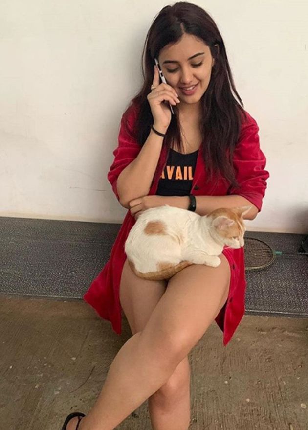 Malvika Sharma Latest Gallery