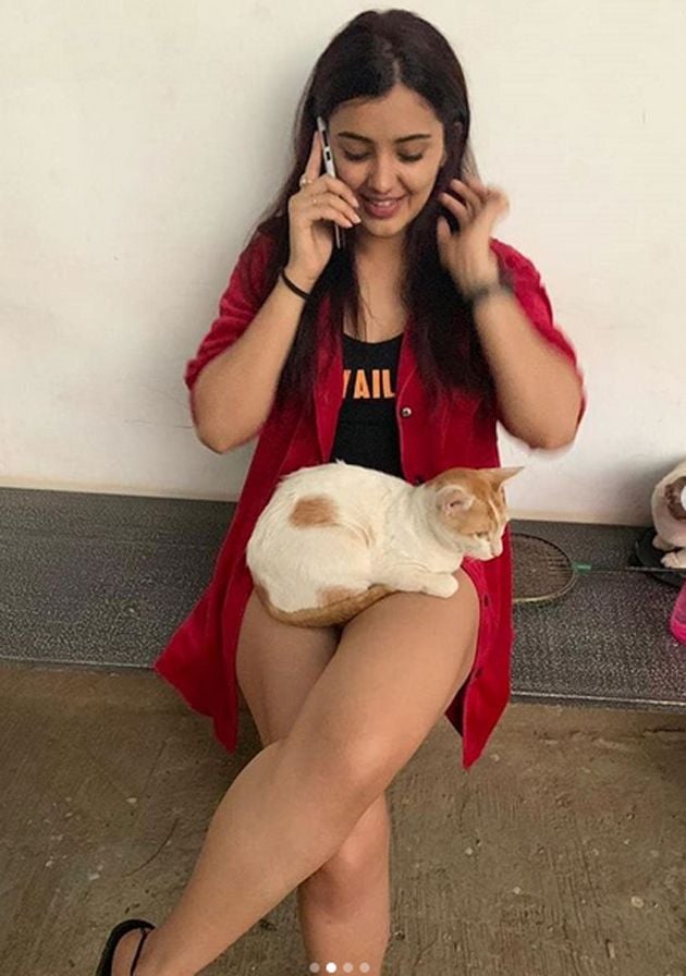 Malvika Sharma Latest Gallery