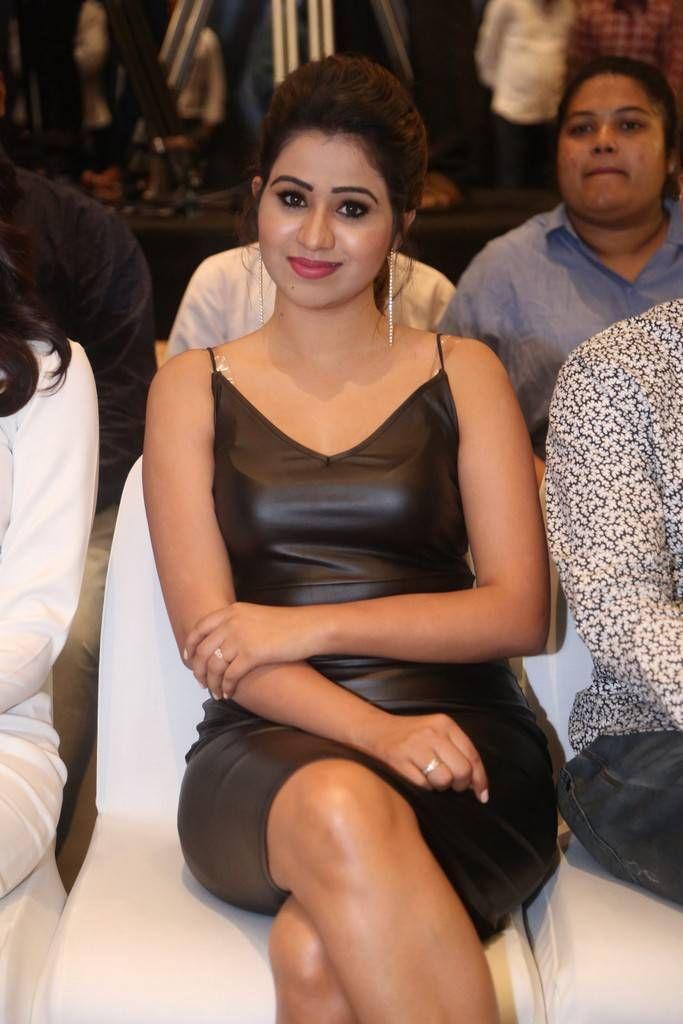 Manali Rathod MLA Movie Success Meet Stills