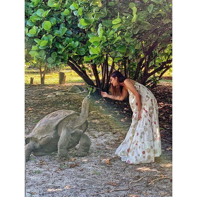 Manushi chillar latest Images