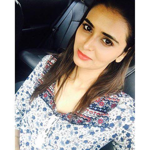 Meenakshi Dixit Spicy Pics
