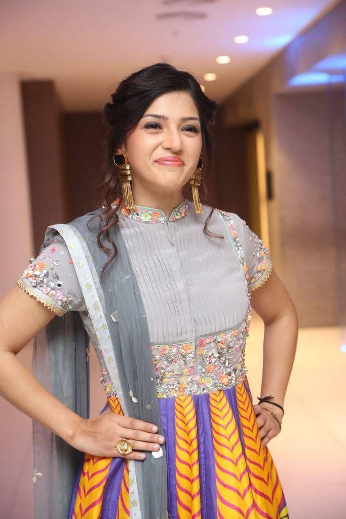 Mehreen Stills At Raja The Great Movie Success Meet