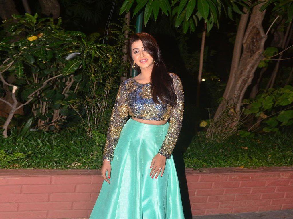 Nikki Galrani Latest HOT Spicy Photoshoot Stills